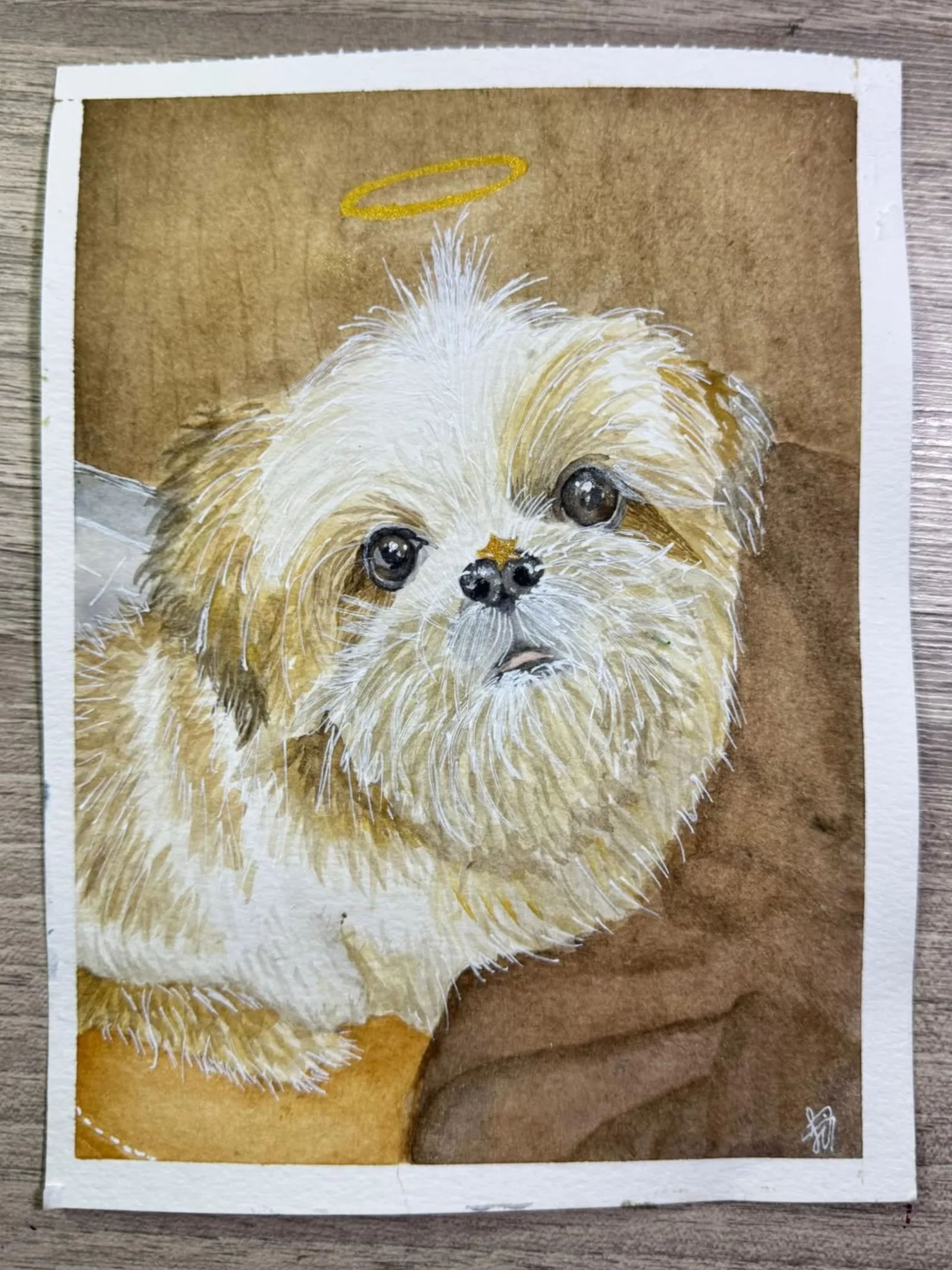 Homenagem a um pet