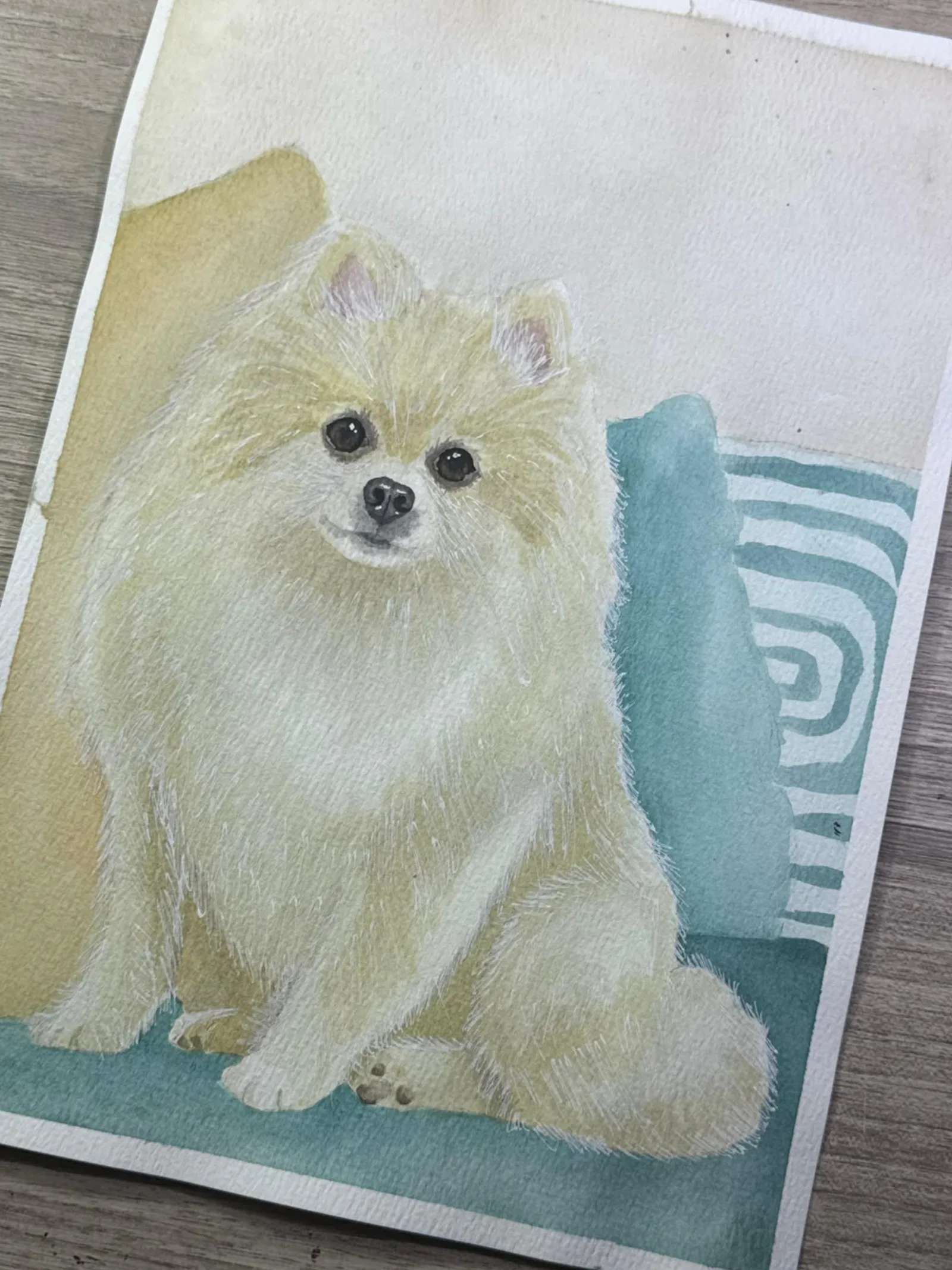 Pet